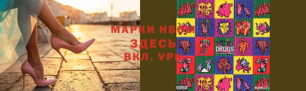 стаф Кодинск
