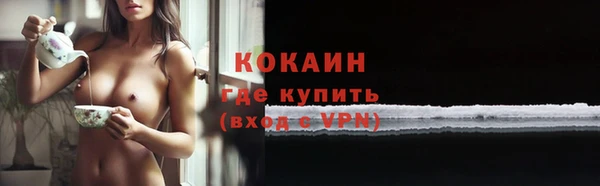 стаф Кодинск