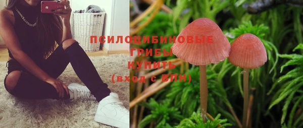 гашишное масло Козельск